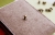 1.jpeg