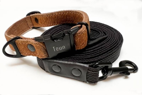 Taśma gumowana na smycz