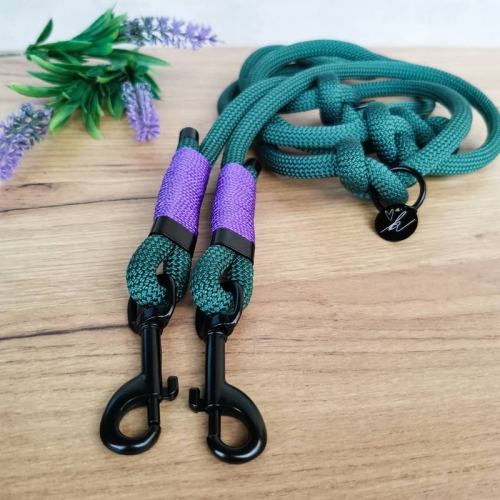 Karabińczyk metalowy - Do smyczy 1