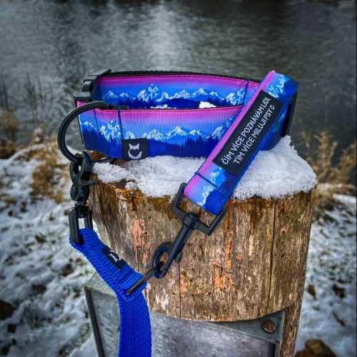 Karabińczyk metalowy - Do smyczy 4